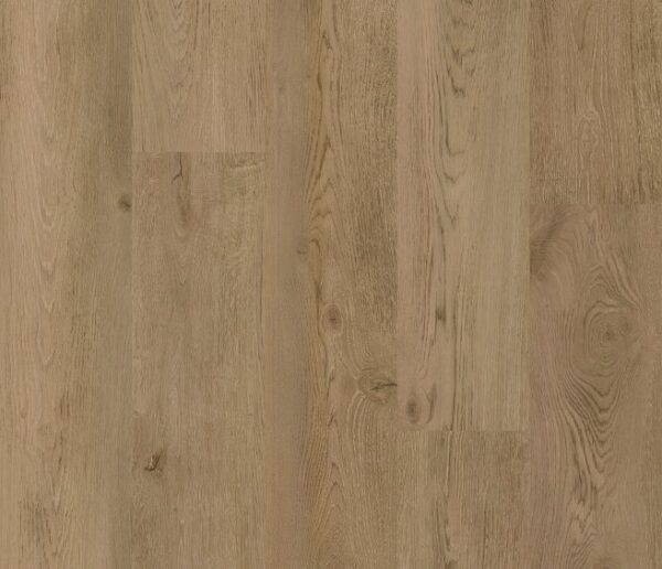 COREtec - Baltimore Oak 54
