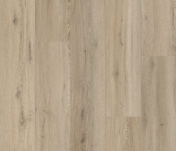 COREtec - Cleveland Oak 52
