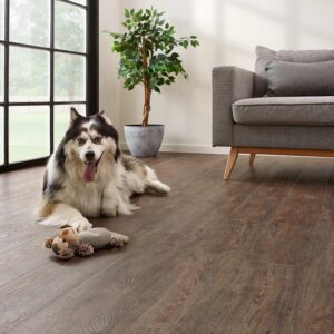COREtec - Jasper Oak 01