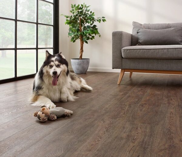 COREtec - Jasper Oak 01
