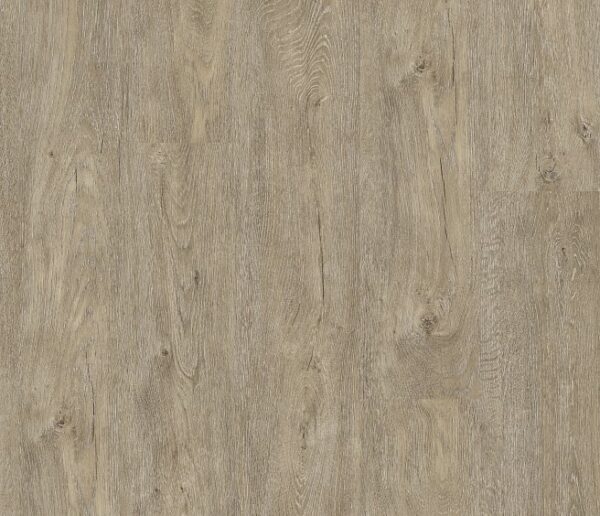 COREtec - Waterton Lakes Oak 04