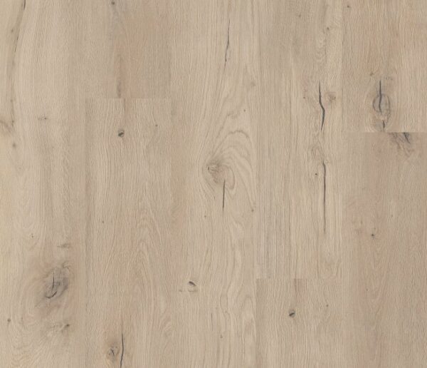 COREtec - Forest (Plank)