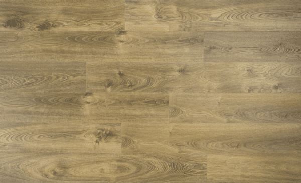 Verbier Oak