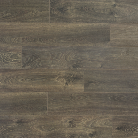 Leysin Oak