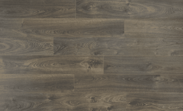 Leysin Oak