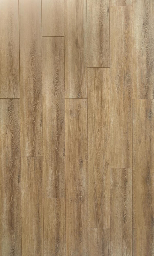 Solid - Santiago Oak